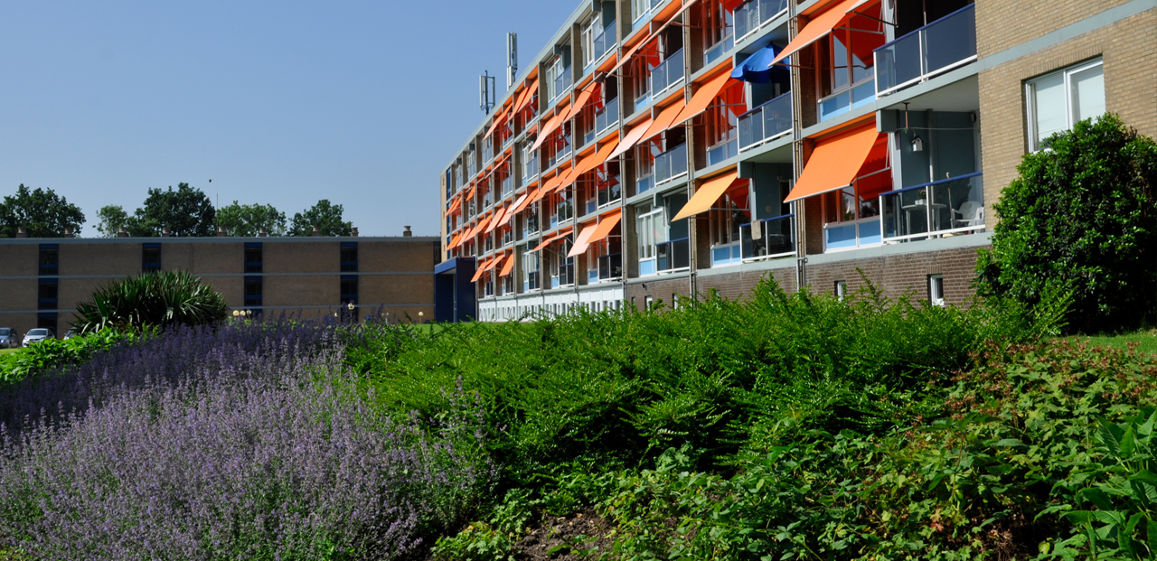 Serviceflat Vroonlande Zelfstandig, comfortabel en wonen